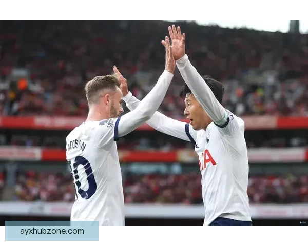 小武什自信宣布下赛季加盟热刺梦想与哥哥共赴汉堡并肩作战成真路